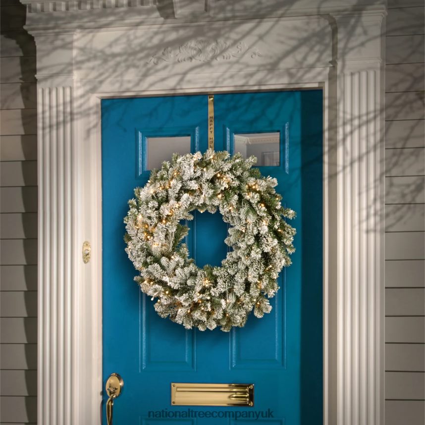 Greenery | National Tree Company Pre-Lit Artificial Christmas Wreath Snowy Sheffield Spruce with Twinkly LED Lights Plug in 24 in F2L4F304